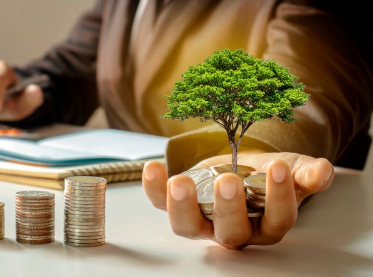 Un uomo regge un albero nel palmo della mano