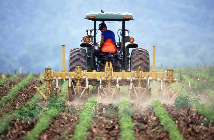 Iter per aprire un'attività agricola