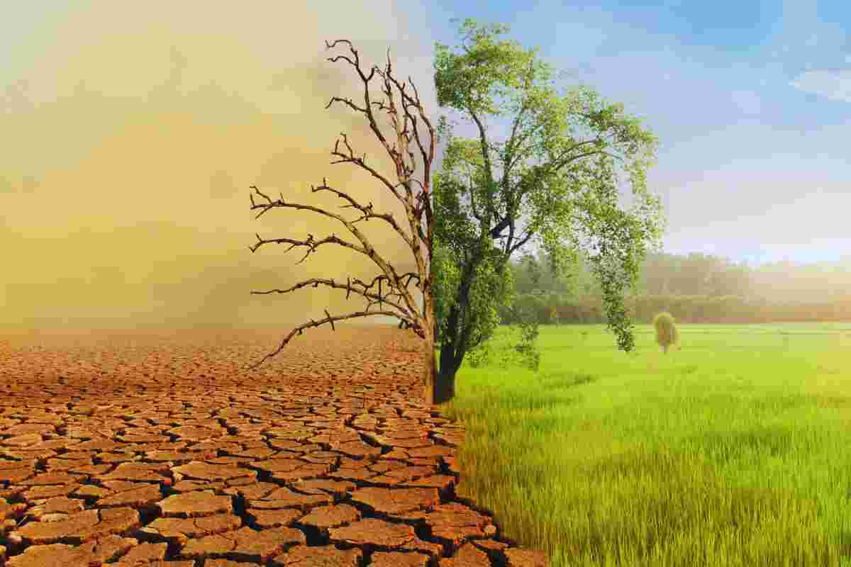 cambiamento climatico e finanziario